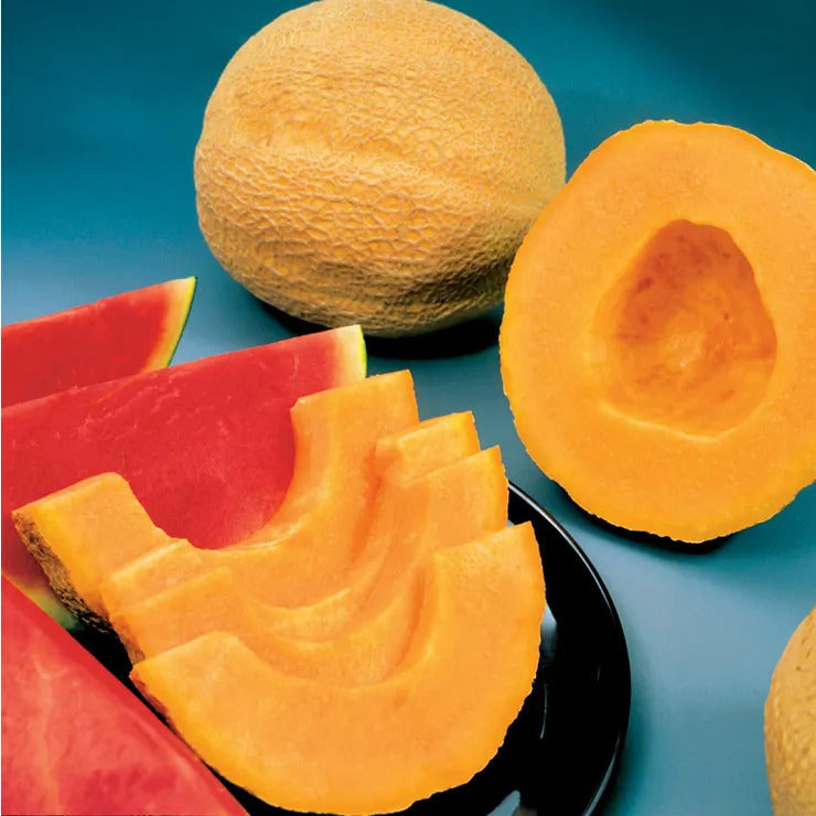 Park Seed Park's Whopper Hybrid Melon Cantaloupe Seeds