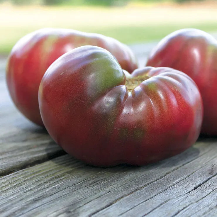 Park Seed Tomato Cherokee Purple - Organic Seeds