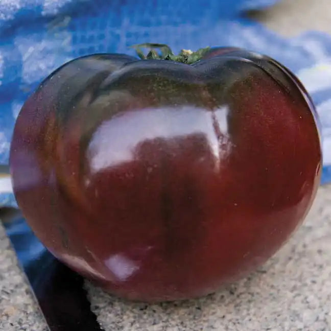 Park Seed Tomato Cherokee Purple - Organic Seeds