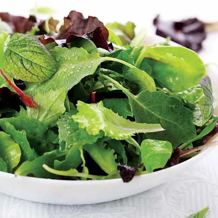 Park Seed Salad Bowl Mix Organic Greens Seeds