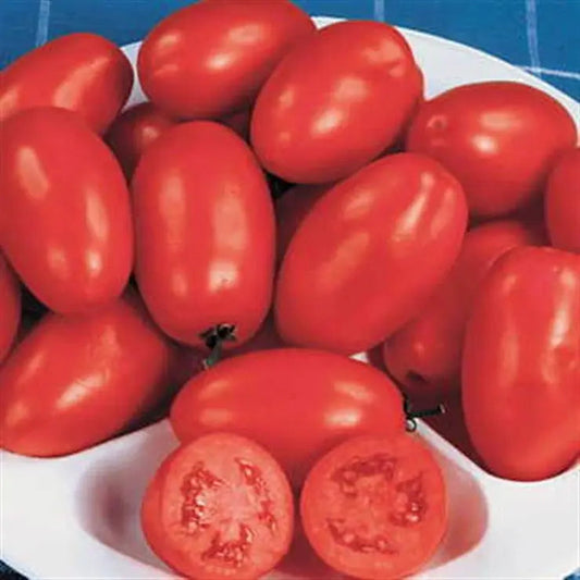 Park Seed Organic Roma Tomato Seeds