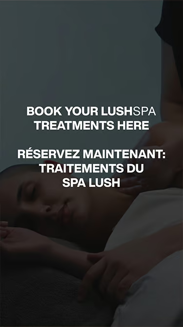 Lush Fresh Facial Spa Treatment