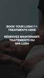 Lush Validation Facial Spa Treatment