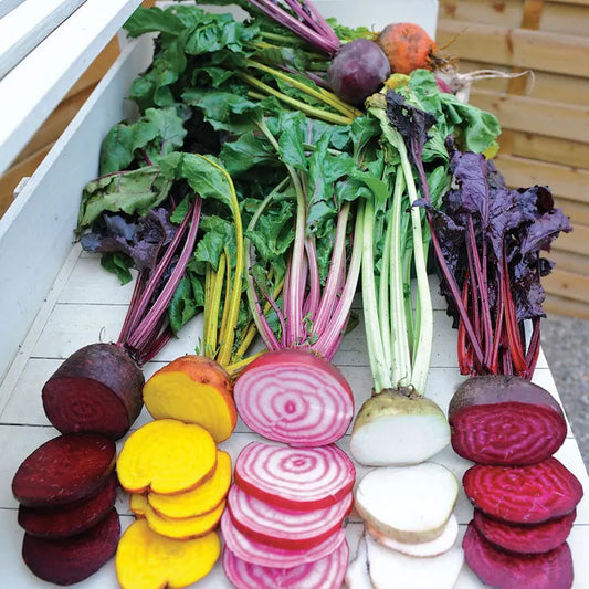 Park Seed Rainbow Mix Beet Seeds