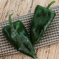 Park Seed Trident Hybrid Pepper Seeds