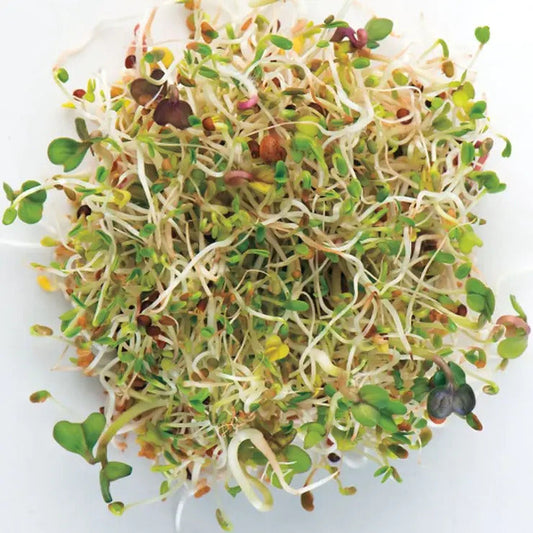 Park Seed Salad Mix Hybrid Sprouting Seeds