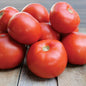 Park Seed Jamestown Tomato Seeds