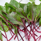 Park Seed Bull's Blood Heirloom Beet Seeds