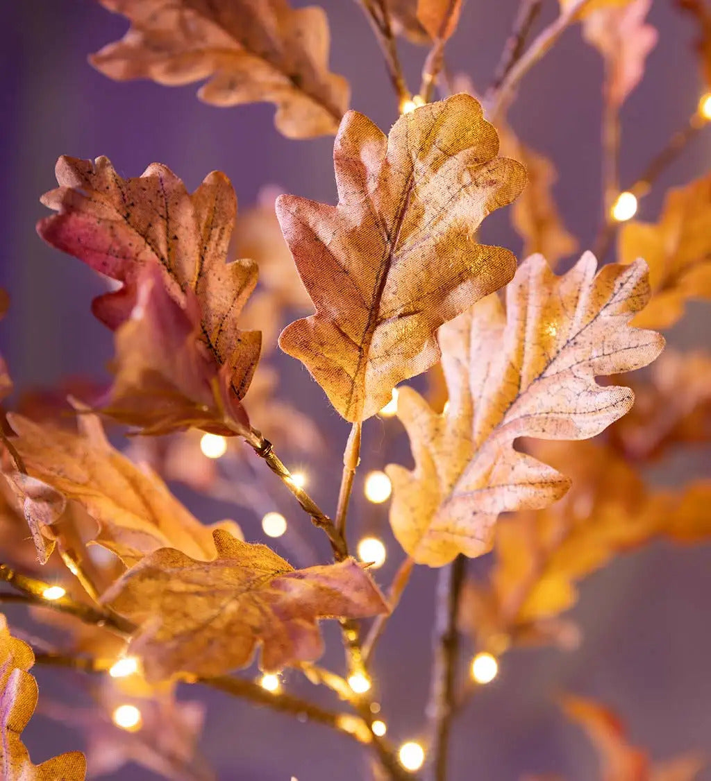 VivaTerra Indoor/Outdoor Lighted Rust Oak Connected Branches, Set of 2