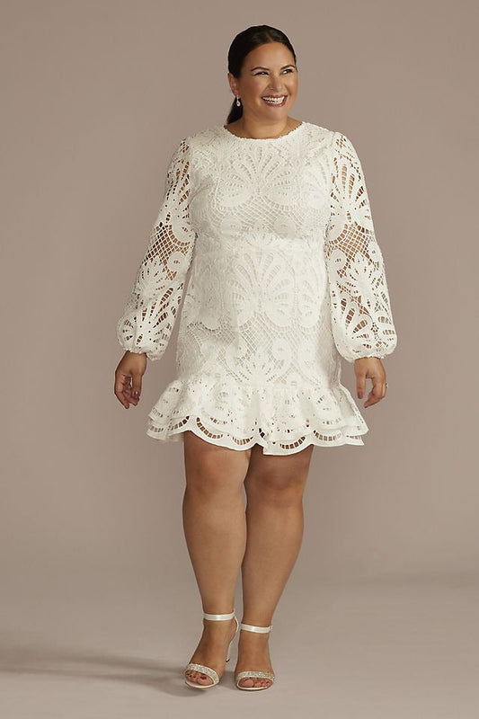 David's Bridal Women's Allover Lace Flounce Hem Long Sleeve Dress - Plus