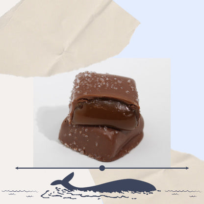 Mendocino Chocolate Company Salty Caramels – Seamist Chocolate Box