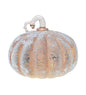 VivaTerra Frosted LED Lighted Pumpkins