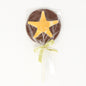 Mendocino Chocolate Company Chocolate Painted Starfish Lollipop