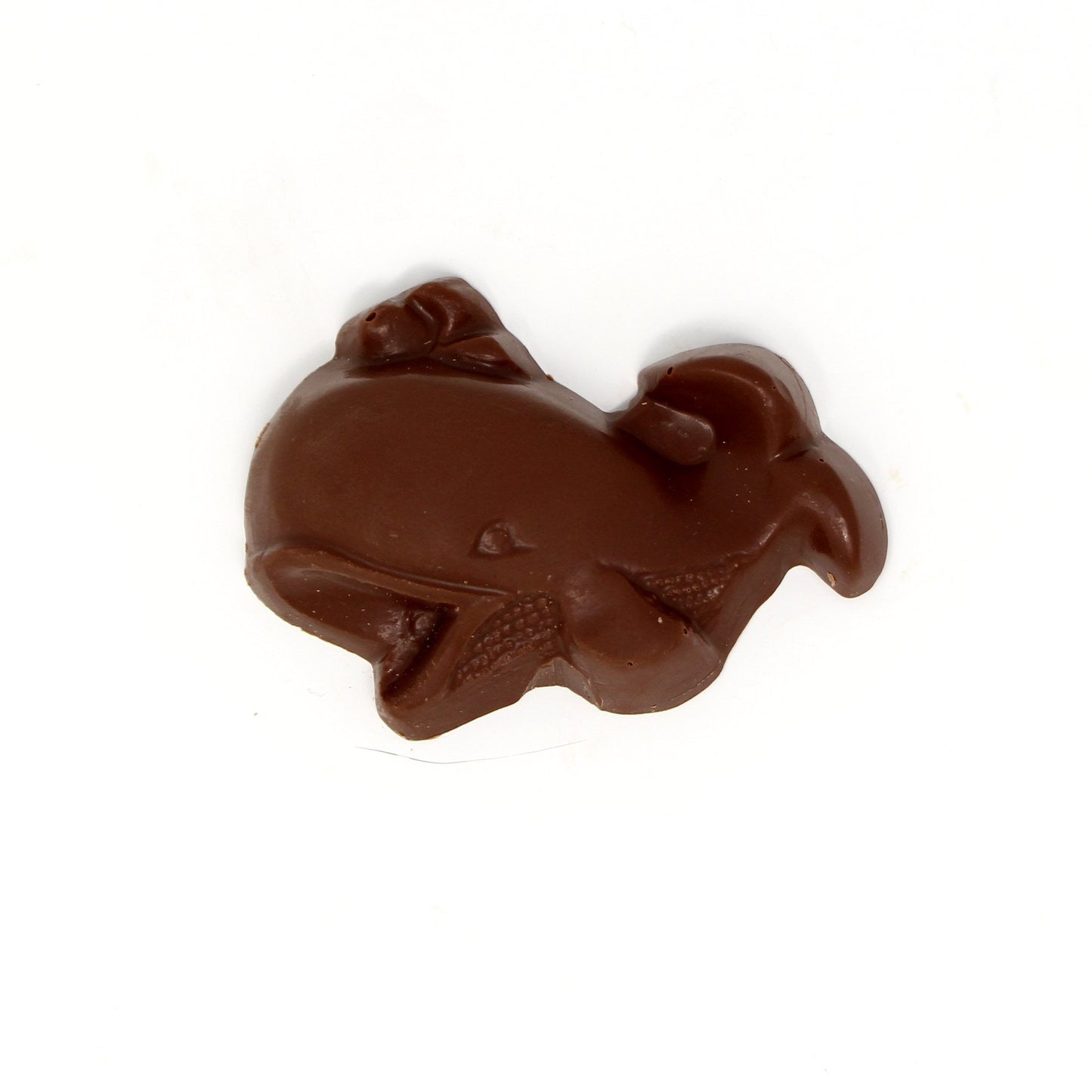 Mendocino Chocolate Company Chocolate Whale