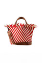 Naghedi Havana Small Tote