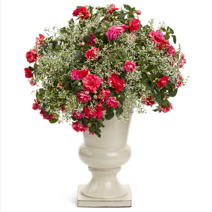 Proven Winners Direct Rockapulco Coral Reef (Double Impatiens)