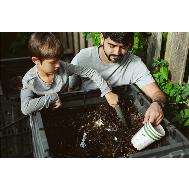 Proven Winners Direct Heart to Heart 'Chinook' (Caladium)