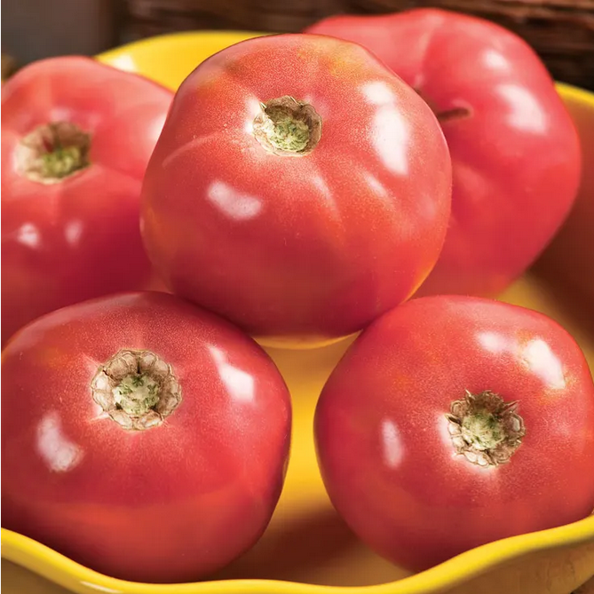 Park Seed  Pink Girl Hybrid Tomato Seeds