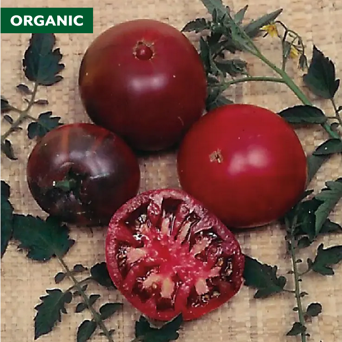 Park Seed Black Krim Tomato Seeds - Organic