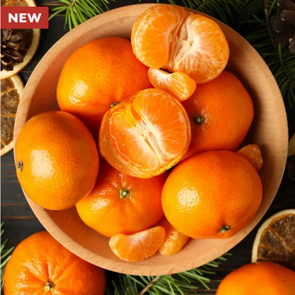 Park Seed  Citrus Clementine Mandarin Tree