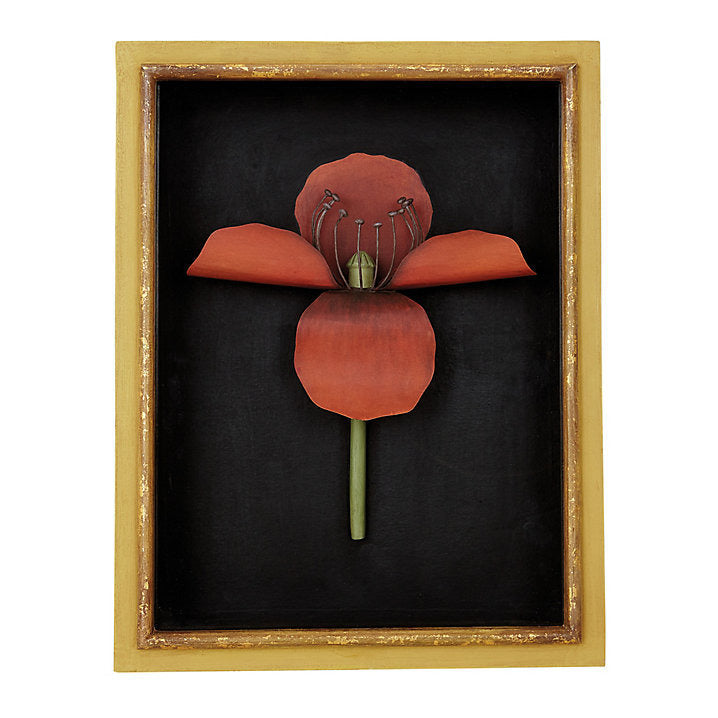 Ballard Designs Poppy Shadow Boxes