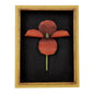 Ballard Designs Poppy Shadow Boxes