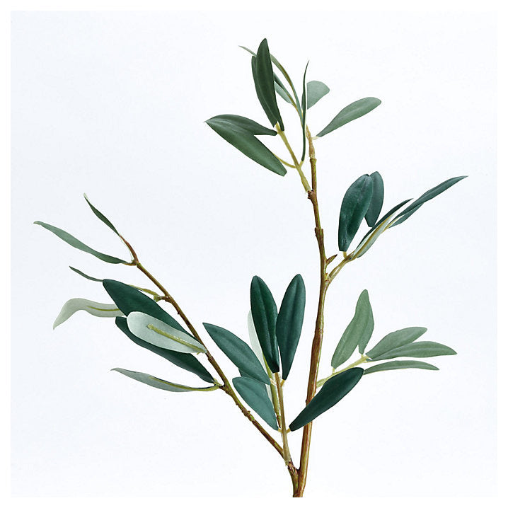 Ballard Designs Olive Leaf Stems - Set of 3