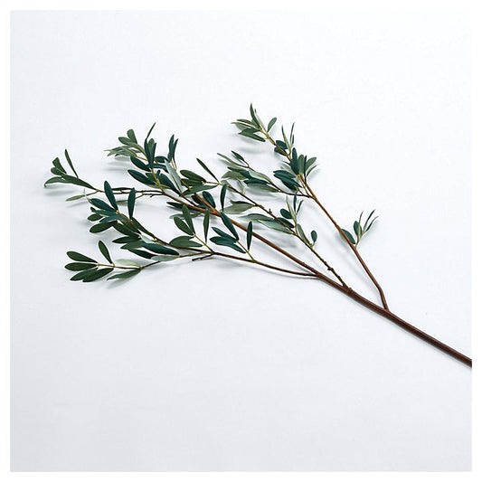 Ballard Designs Olive Leaf Stems - Set of 3