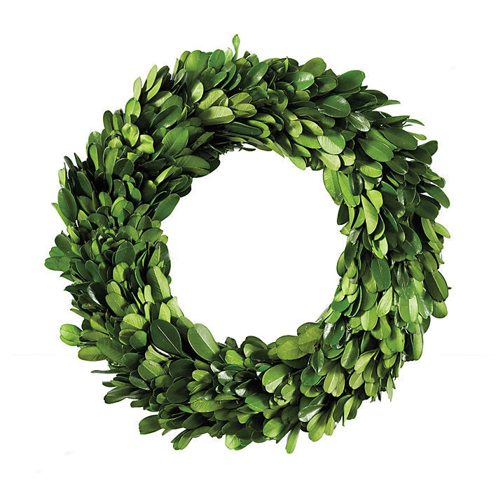 Ballard Designs Preserved Boxwood Mini Wreath