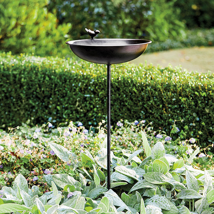 Ballard Designs Acanthis Bird Bath