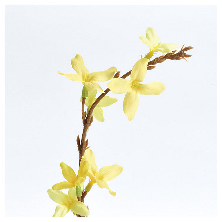 Ballard Designs Forsythia Stems - Set of 3