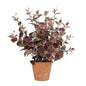 Ballard Designs Faux Coleus Potted Plant