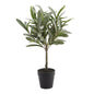 Ballard Designs Olive Topiary