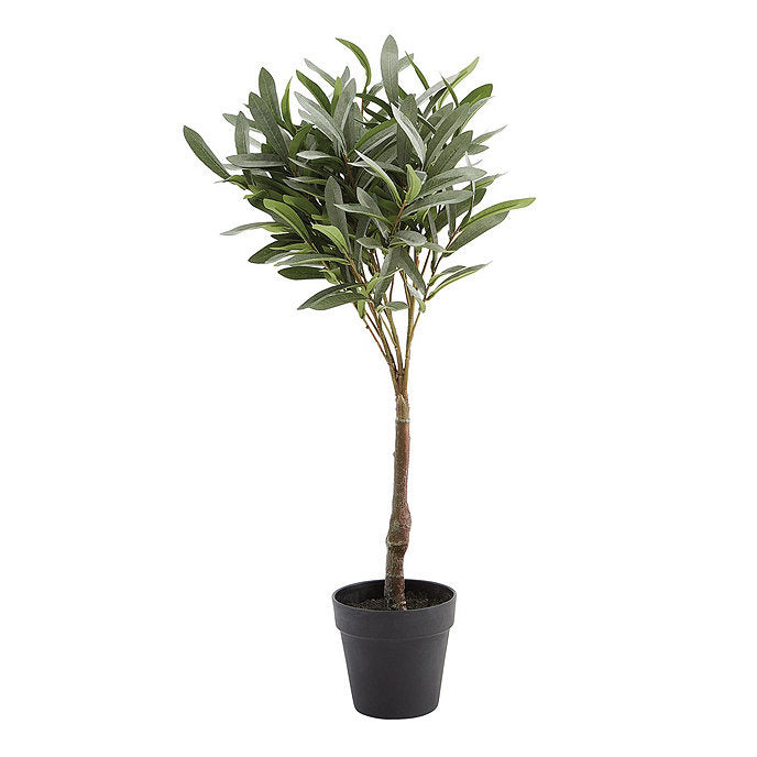 Ballard Designs Olive Topiary