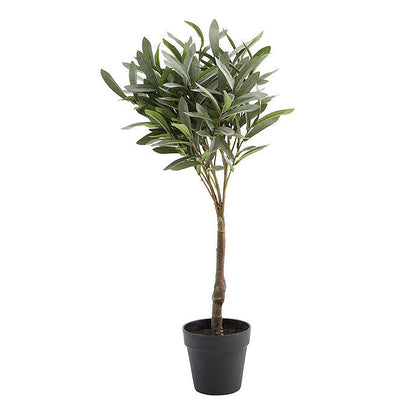 Ballard Designs Olive Topiary