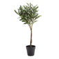 Ballard Designs Olive Topiary