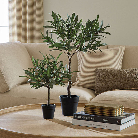 Ballard Designs Olive Topiary