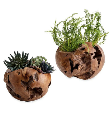 VivaTerra Distressed Round Teak Wood Vases