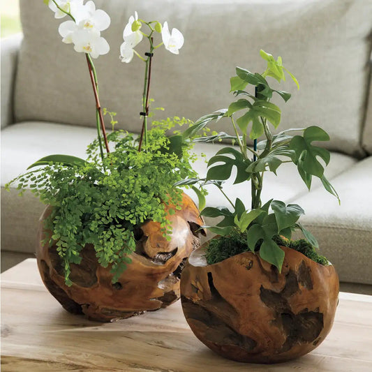 VivaTerra Distressed Round Teak Wood Vases