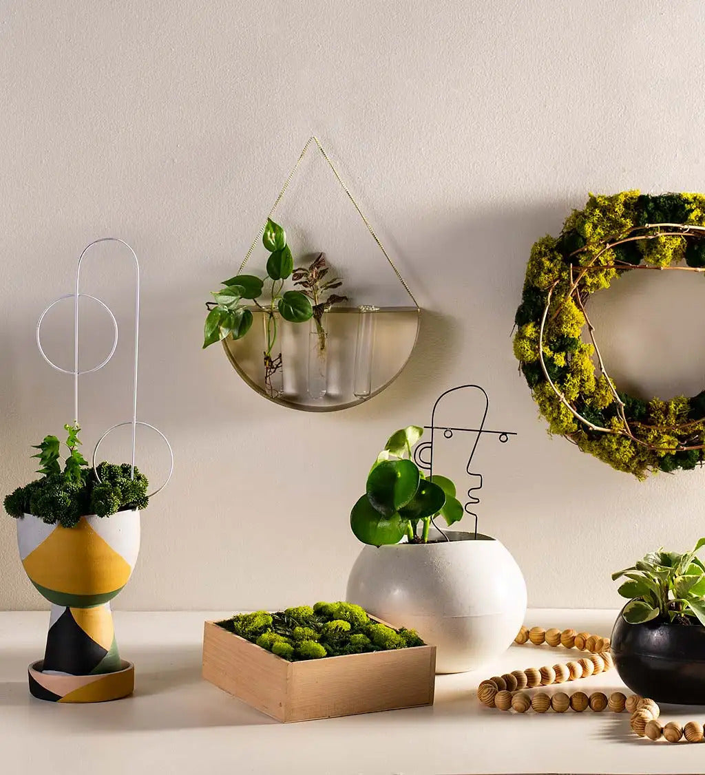 VivaTerra Zen Moss Wreath, 18"Dia.