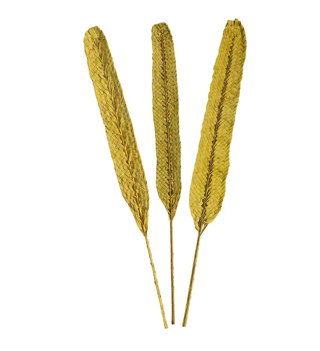 VivaTerra Woven Kejur Leaves, Set of 3