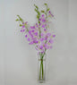 VivaTerra Fresh Cut Small Orchid Bunch in Glass Vase