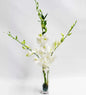 VivaTerra Fresh Cut Small Orchid Bunch in Glass Vase