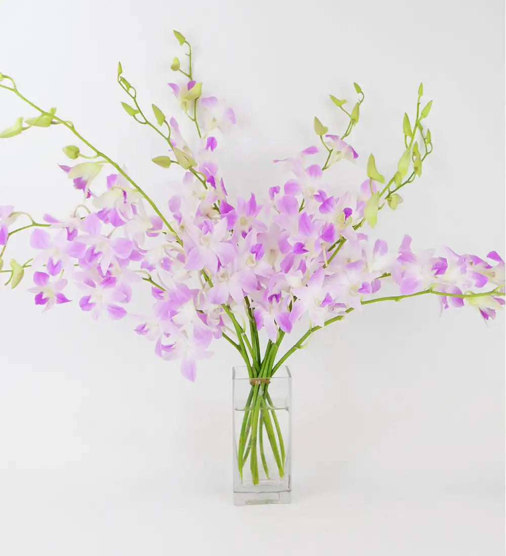 VivaTerra Large Orchid Bunch in Glass Vase