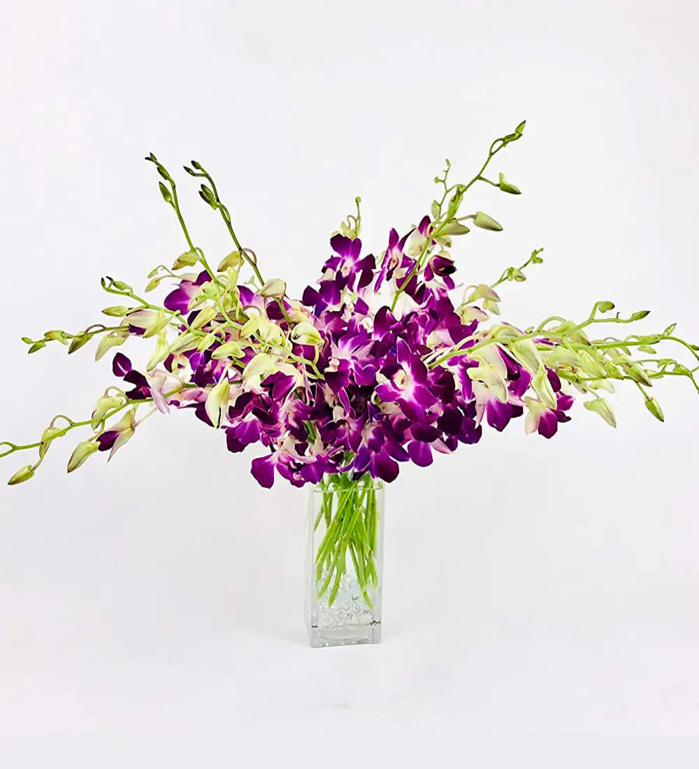 VivaTerra Large Orchid Bunch in Glass Vase