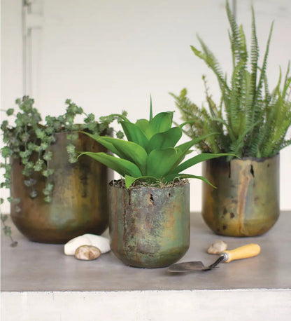 VivaTerra Rustic Verdigris Iron Planters, Set of 3