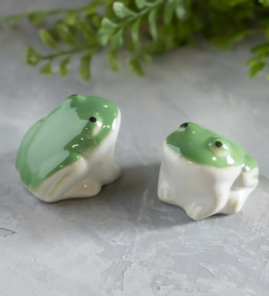 VivaTerra Whimsical Ceramic Floating Frogs, Set of 2