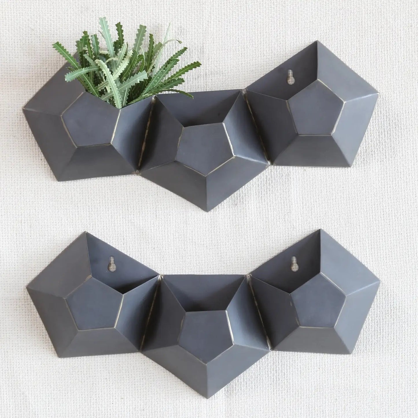 VivaTerra Hexagonal Iron Wall Vase Collection