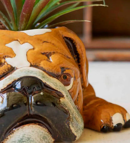 VivaTerra Ceramic Bulldog Planter