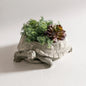 VivaTerra Handcrafted Alpine Stone Turtle Planter